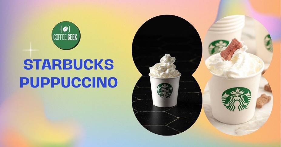 Starbucks puppuccino is a new drink at starbucks.