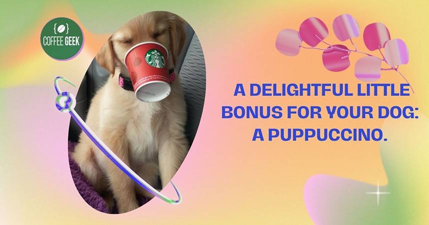 A dog drinking a cup of coffee with the text a delightful little bonus for your dog a puppuccino.