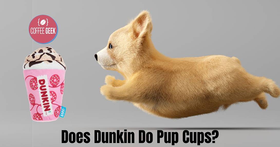 Dunkin pup cup best sale