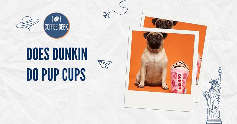 At Dunkin Donuts stores, pup cups are usually provided as a free courtesy for customers. 