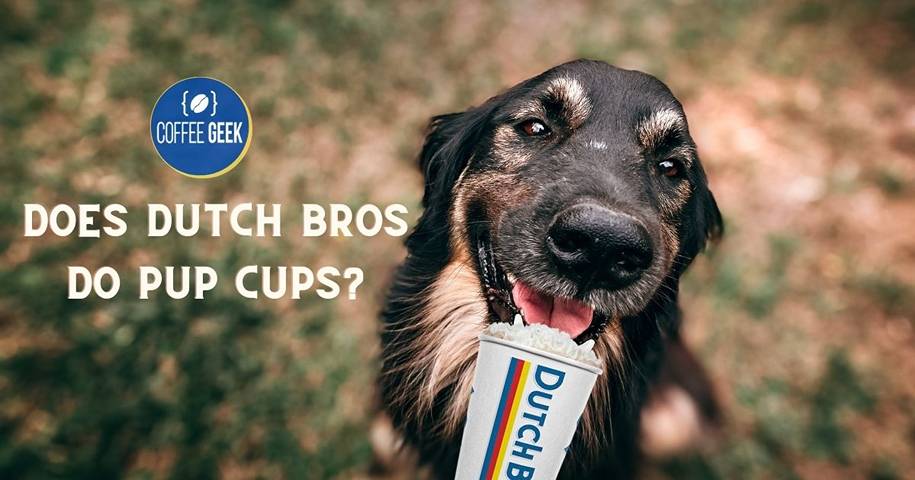 Does Dutch Bros Do Pup Cups