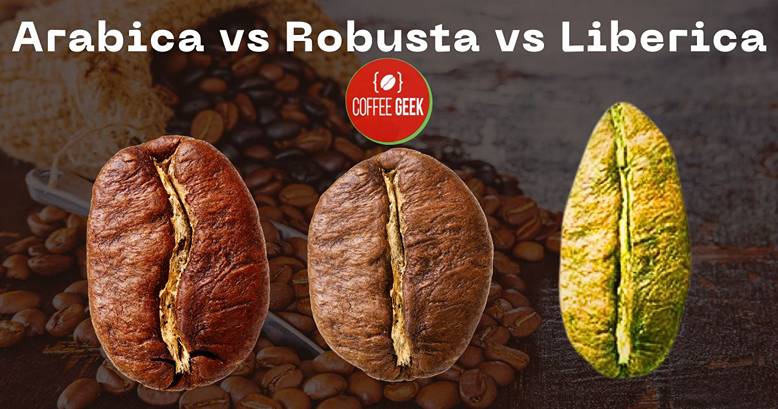 Arabica vs robusta vs liberica